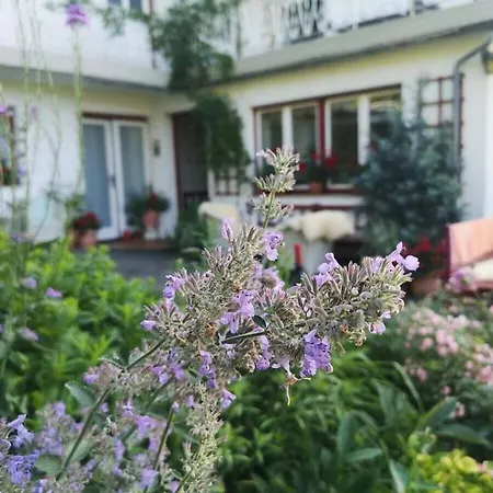 One-bedroom * Nussdorf am Attersee