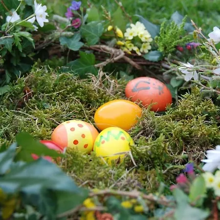 One-bedroom Hébergement de vacances Nussdorf am Attersee