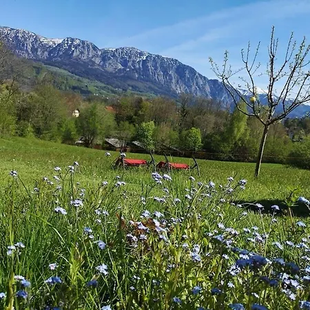 One-bedroom * Nussdorf am Attersee