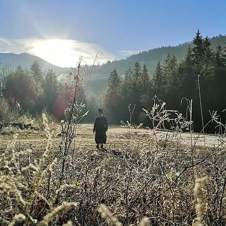 One-bedroom Nussdorf am Attersee