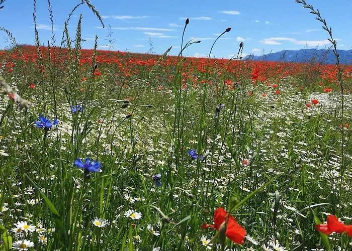 بيت للعطل One-bedroom نسدورف ام اترسي