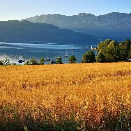 One-bedroom * Nussdorf am Attersee