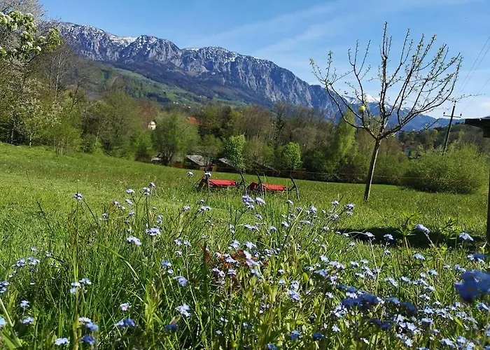 One-bedroom * نسدورف ام اترسي