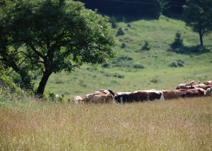 One-bedroom نسدورف ام اترسي